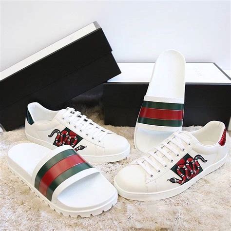 zapatos gucci hombre cafes|tenis Gucci precio.